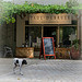 Vignoble Paul Dubrule by Ann McLeod Images - Lourmarin 84160 Vaucluse Provence France