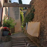 Old street of Malaucène and cat! by Sokleine - Malaucène 84340 Vaucluse Provence France