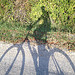 Balade à vélo en octobre par gab113 - Malemort du Comtat 84570 Vaucluse Provence France