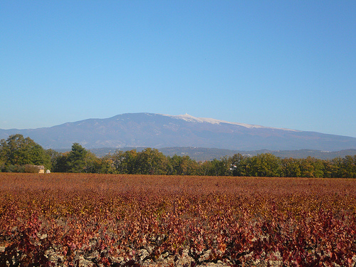 Mont-ventoux en novembre par gab113