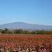 Mont-ventoux en novembre by gab113 - Mazan 84380 Vaucluse Provence France