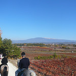 Ballade à cheval avec le Mont-Ventoux par gab113 - Mazan 84380 Vaucluse Provence France