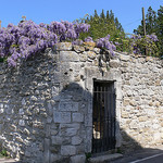 La nature déborde by Jean NICOLET - Ménerbes 84560 Vaucluse Provence France