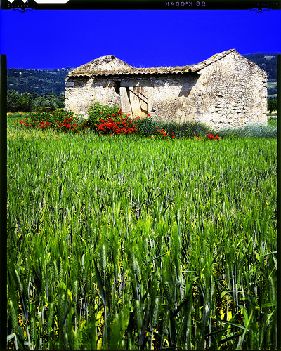 Maisonnette abandonnée by Patrick Bombaert