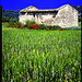 Maisonnette abandonnée by Patrick Bombaert - Ménerbes 84560 Vaucluse Provence France