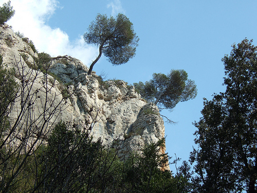 Le vallon de la Galère by surmjolk