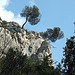 Le vallon de la Galère by surmjolk - Mérindol 84360 Vaucluse Provence France