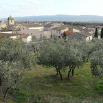 Oliviers à Mérindol by bastidegrandesterres - Mérindol 84360 Vaucluse Provence France