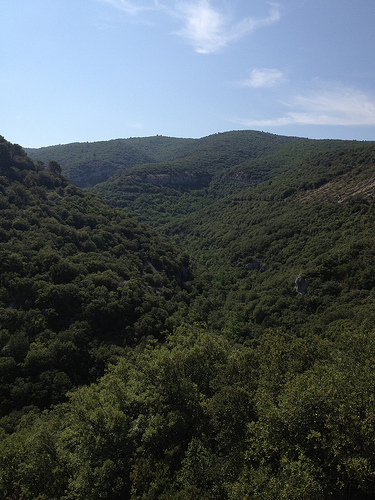 vallée verte toute vierge sur la route entre Monieux et Méthamis par gab113