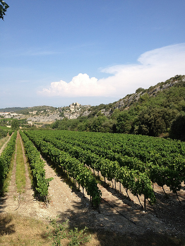 Méthamis et ses vignes par gab113