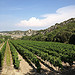 Méthamis et ses vignes par gab113 - Méthamis 84570 Vaucluse Provence France
