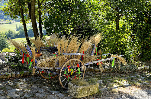 Charette d'épeautre décorée par christian.man12