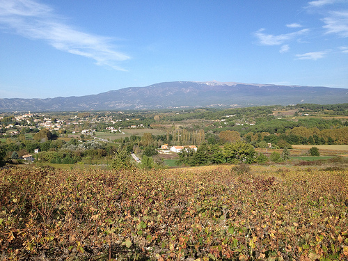 Mormoiron en automne, au pied du Mont-Ventoux par gab113