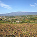 Mormoiron en automne, au pied du Mont-Ventoux by gab113 - Mormoiron 84570 Vaucluse Provence France