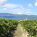 Mormoiron vue côté vigne by gab113 - Mormoiron 84570 Vaucluse Provence France