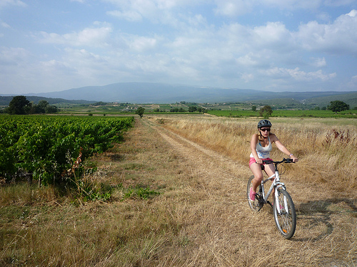 Randonnée à Vélo au pied du Mont-Ventoux by gab113