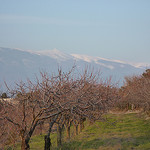 Petite balade au pied du Ventoux par gab113 - Mormoiron 84570 Vaucluse Provence France