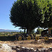 Ferme au pied du Ventoux et de Blauvac par gab113 - Mormoiron 84570 Vaucluse Provence France