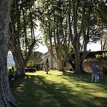 Château Pesquié et ses hauts platanes par gab113 - Mormoiron 84570 Vaucluse Provence France