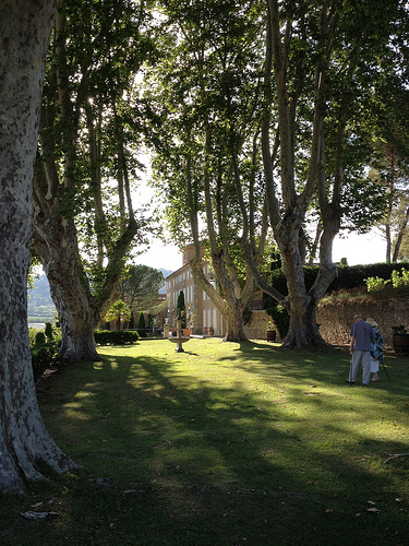 Château Pesquié et ses hauts platanes by gab113