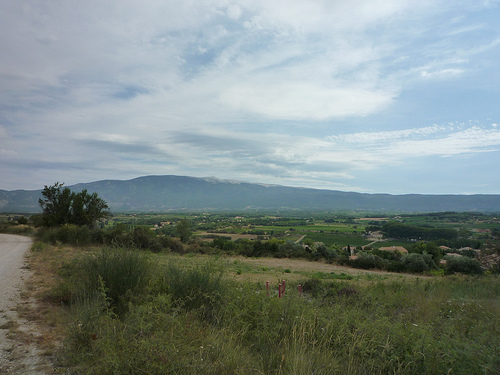 Paysage autour du Mont-Ventoux par gab113