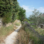 Petit sentier pour une sortie en VTT par gab113 - Mormoiron 84570 Vaucluse Provence France