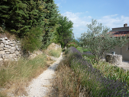 Petit sentier pour une sortie en VTT par gab113