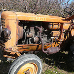 Vieux tracteur au milieu des cerisiers by gab113 - Mormoiron 84570 Vaucluse Provence France