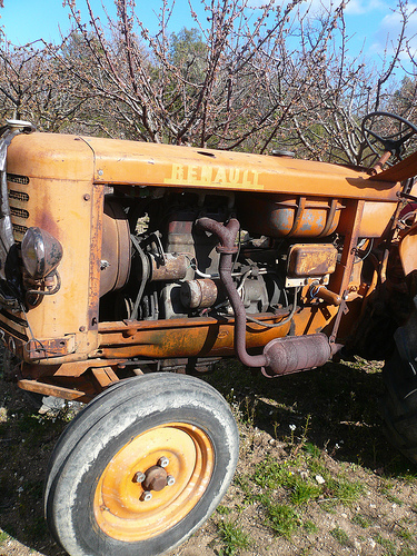Vieux tracteur au milieu des cerisiers par gab113