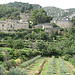 Oppède Le Vieux tout en vert by Andrew Findlater - Oppède 84580 Vaucluse Provence France