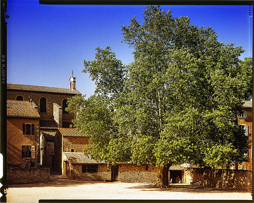 Arbre immense dans le Village d'Oppède par Patrick Bombaert