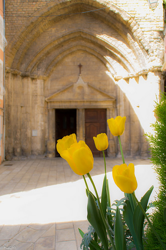 Cathédrale Notre-Dame de Nazareth d'Orange par Mich3G