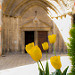 Cathédrale Notre-Dame de Nazareth d'Orange by Mich3G - Orange 84100 Vaucluse Provence France