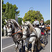 Chevaux de trait - Journées du Patrimoine à Pernes les Fontaines by Photo-Provence-Passion - Pernes les Fontaines 84210 Vaucluse Provence France