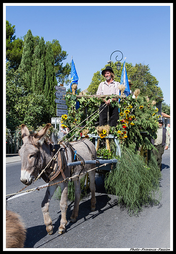 Défilé pour les Journées du Patrimoine à Pernes les Fontaines par Photo-Provence-Passion