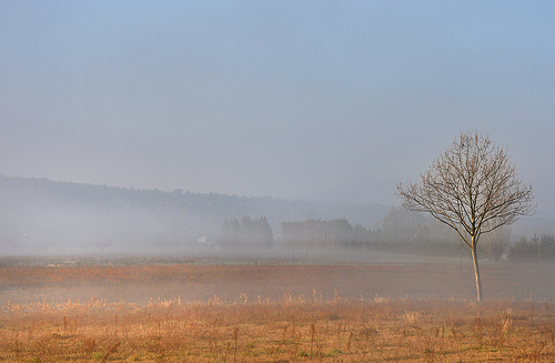 Brume à Robion by Charlottess