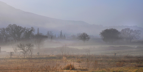 Brumes matinales à Robion by Charlottess