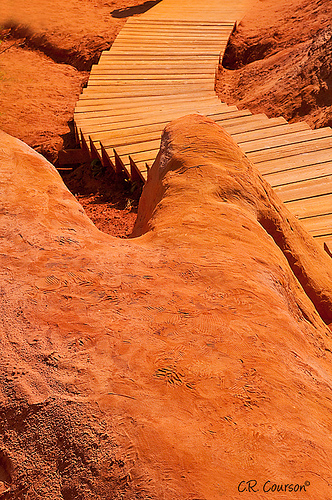 Ocre carpet : The Sentier des Ocres by C.R. Courson