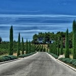 Accès à "La Coquillade" par C.R. Courson - Roussillon 84220 Vaucluse Provence France