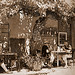 Vintage Roussillon... en terrasse par matejcek - Roussillon 84220 Vaucluse Provence France