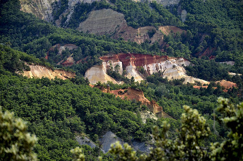 Le colorado provençal en rouge et vert par christian.man12