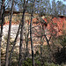 Paysage falaise blanche et ocre by Jean NICOLET - Rustrel 84400 Vaucluse Provence France