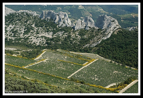 Dentelles de Montmirail by michel.seguret