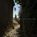 Sentier à Saignon par Mario Graziano - Saignon 84400 Vaucluse Provence France