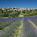 Village de Saignon camouflé dans la roche by Christopher Swan - Saignon 84400 Vaucluse Provence France