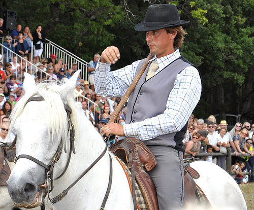 Le gardian, héros de Camargue par Idealist'2010