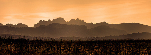 Dentelles de montmirail - Dentelles du soir par Charlottess