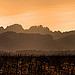 Dentelles de montmirail - Dentelles du soir par Charlottess - Séguret 84110 Vaucluse Provence France