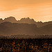 Dentelles de montmirail - Dentelles du soir by Charlottess - Séguret 84110 Vaucluse Provence France