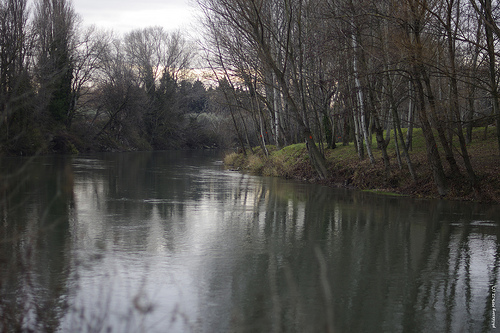 La rivière Ouvèze en hiver sous un ciel couvert par phildesorg